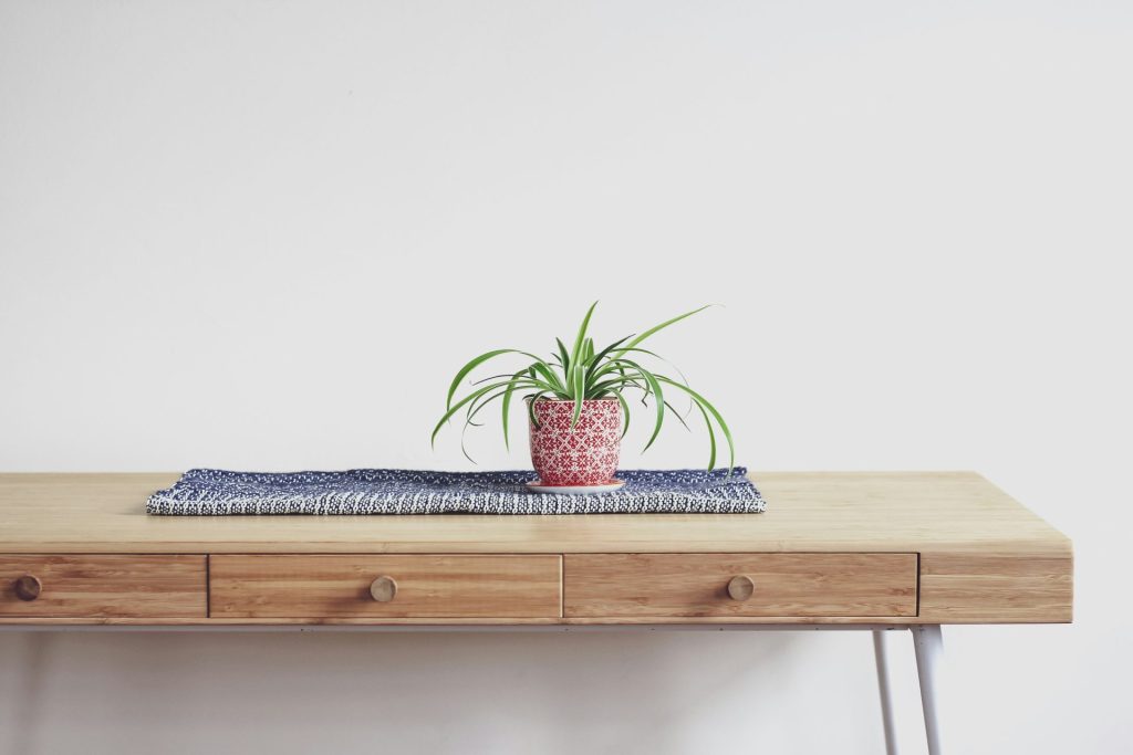 Mesa de madera con planta encima